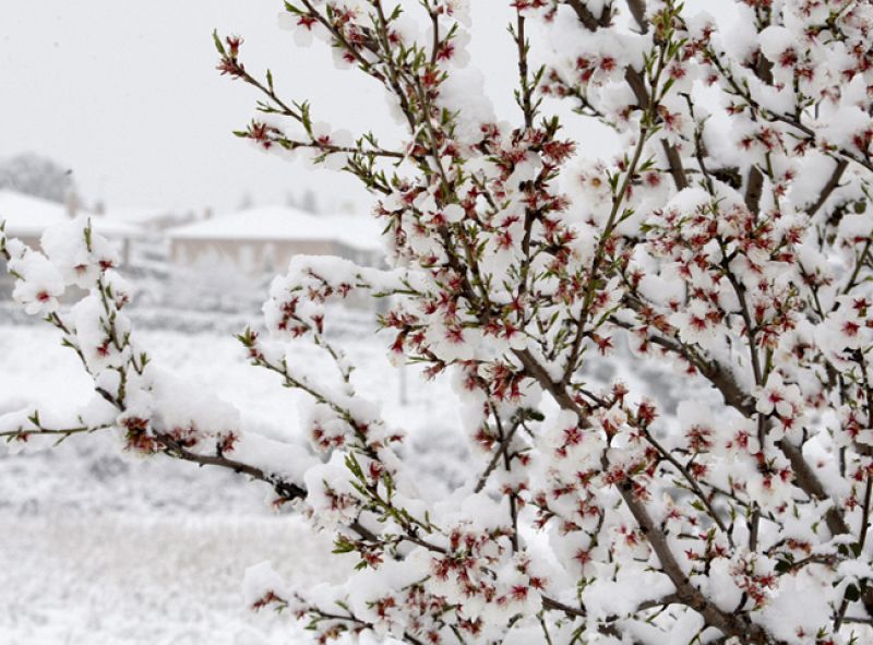La Comunidad de Madrid en 4' - 04/03/11
