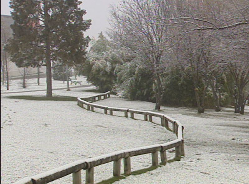 La nieve ha afectado, sobre todo, a tres comunidades: la Comunidad valenciana, Castilla-La Mancha y Madrid