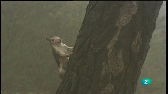 Jara y sedal - Del Atlas a Sierra Espuña