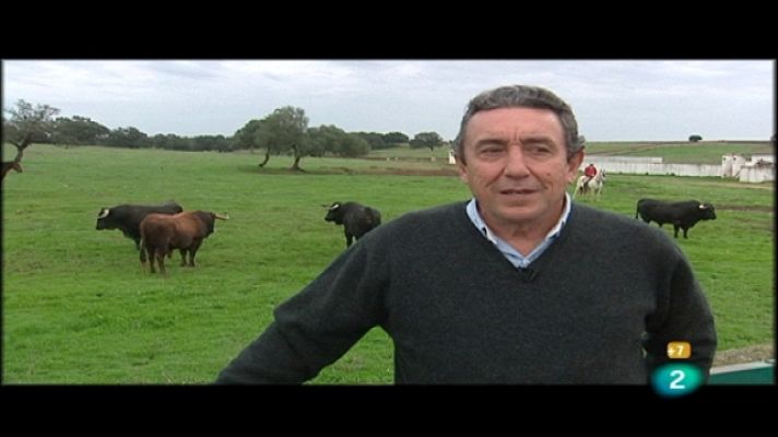 Tendido cero - Tendido cero - 05/03/11