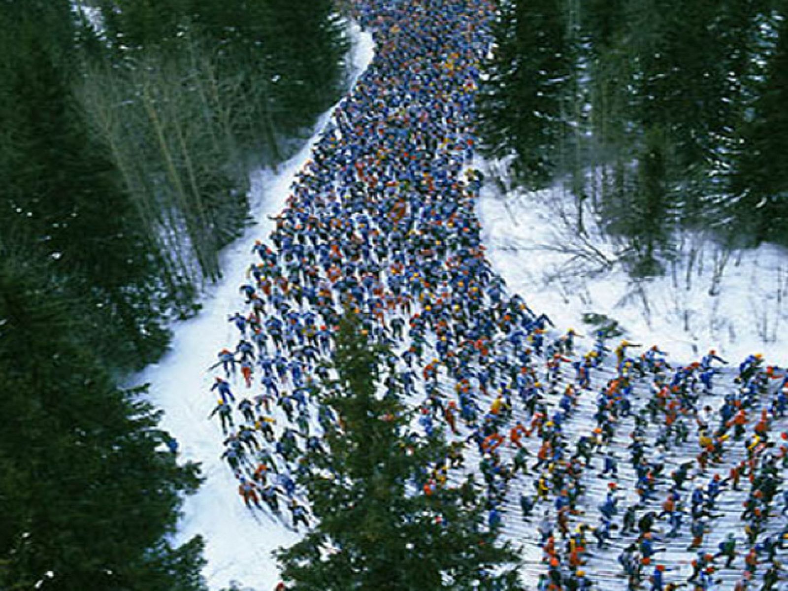 La carrera de esquí más larga del mundo | Ver