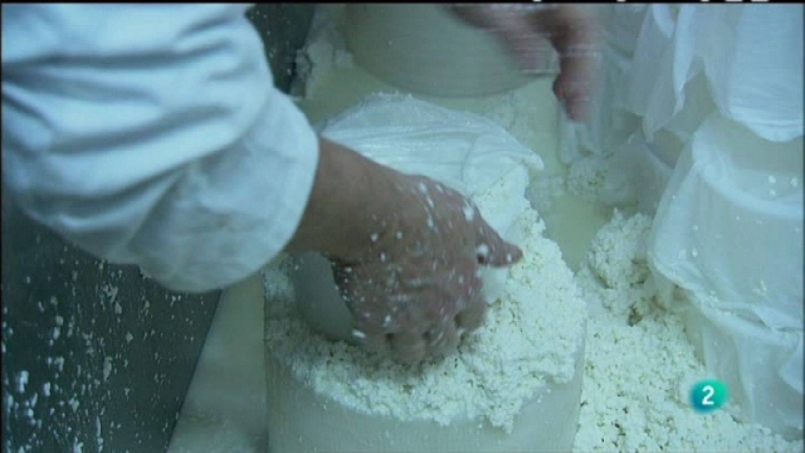 Biodiario - 06/03/11 - Biodiario | Ver