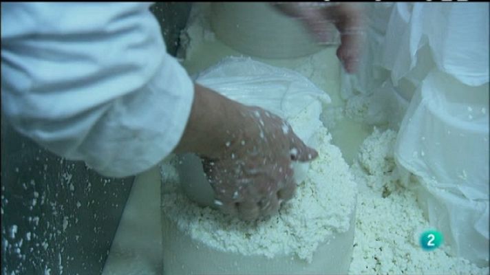 Biodiario - Biodiario - 06/03/11