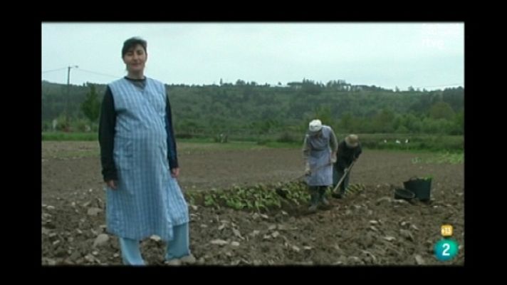 Metrópolis - Trabajadoras