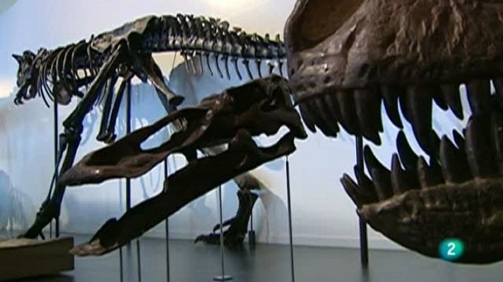 La aventura del Saber - La aventura del saber - 07/03/11