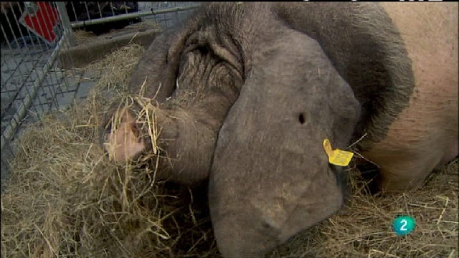 Biodiario - 07/03/11 - Biodiario | Ver