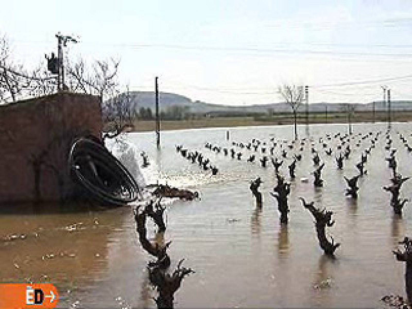 España Directo - Un géiser en mi finca