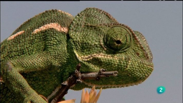 Biodiario - Biodiario - 08/03/11