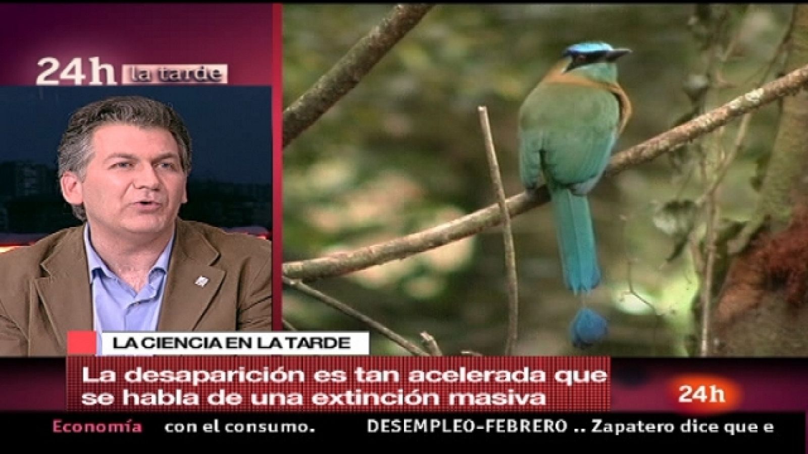 La tarde en 24 horas - Tercera hora - 09/03/11 - La tarde en 24h | Ver
