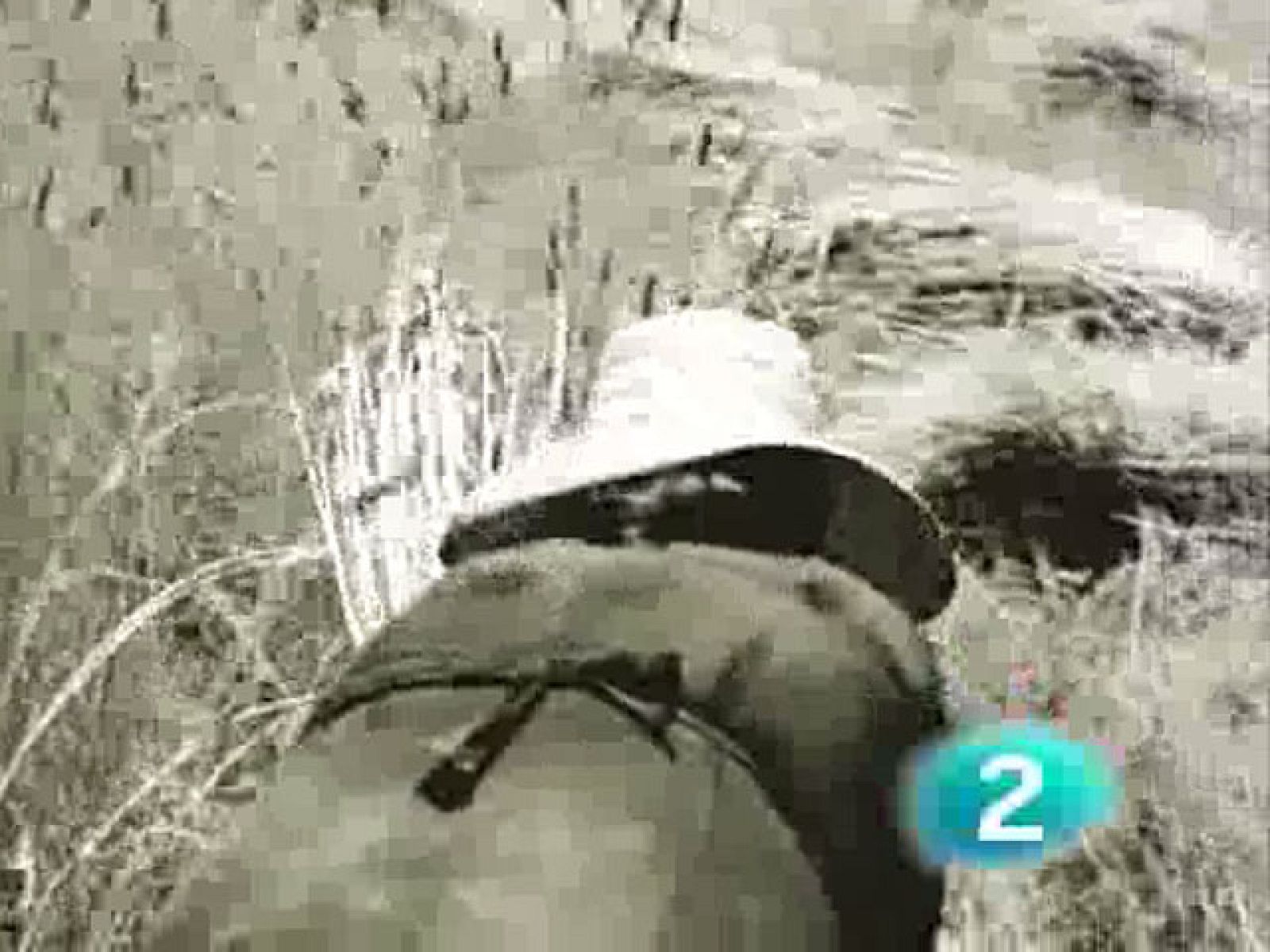 La tierra tiene nombre de mujer