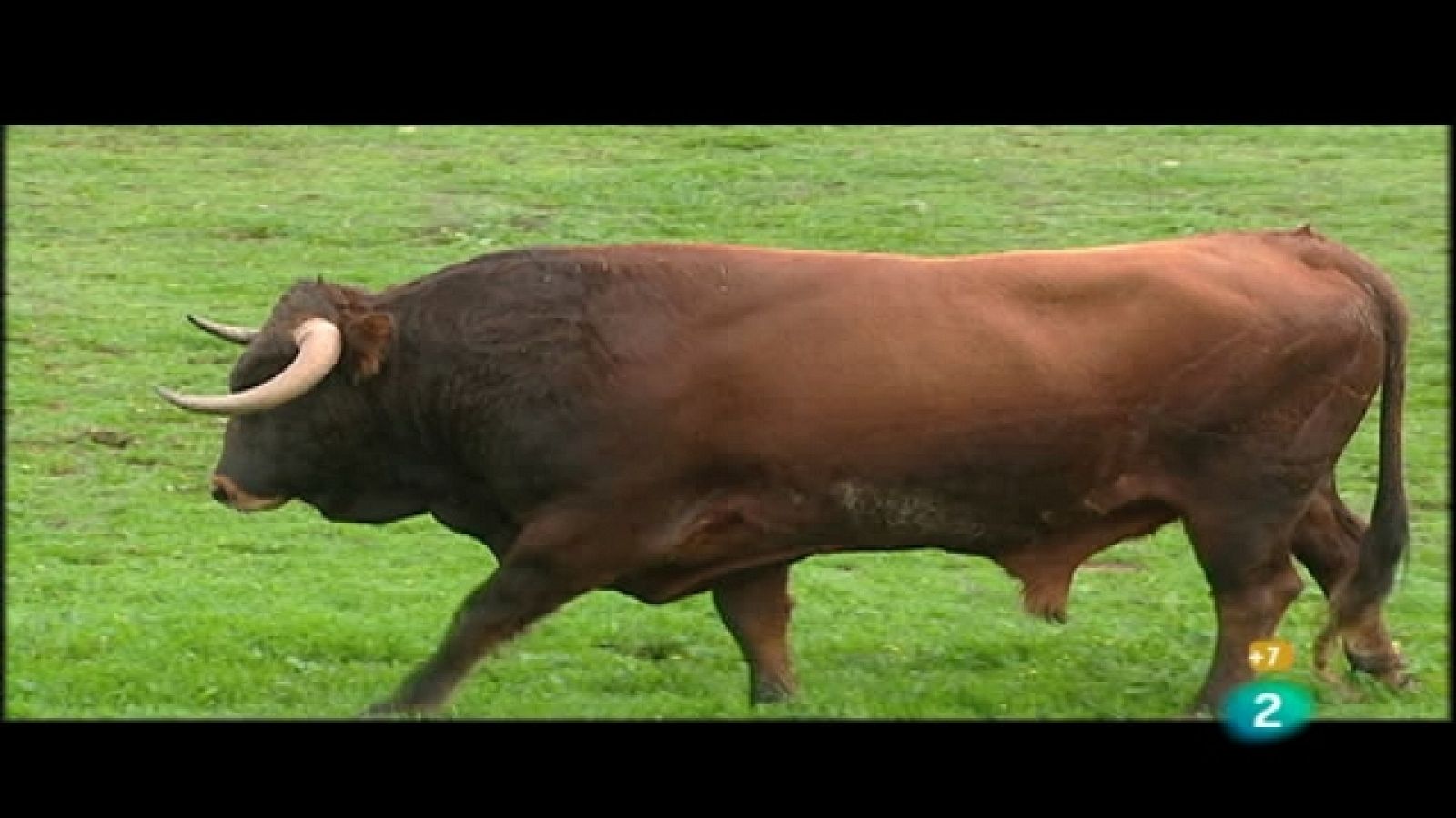 Tendido cero - 12/03/11 - Tendido cero | Ver