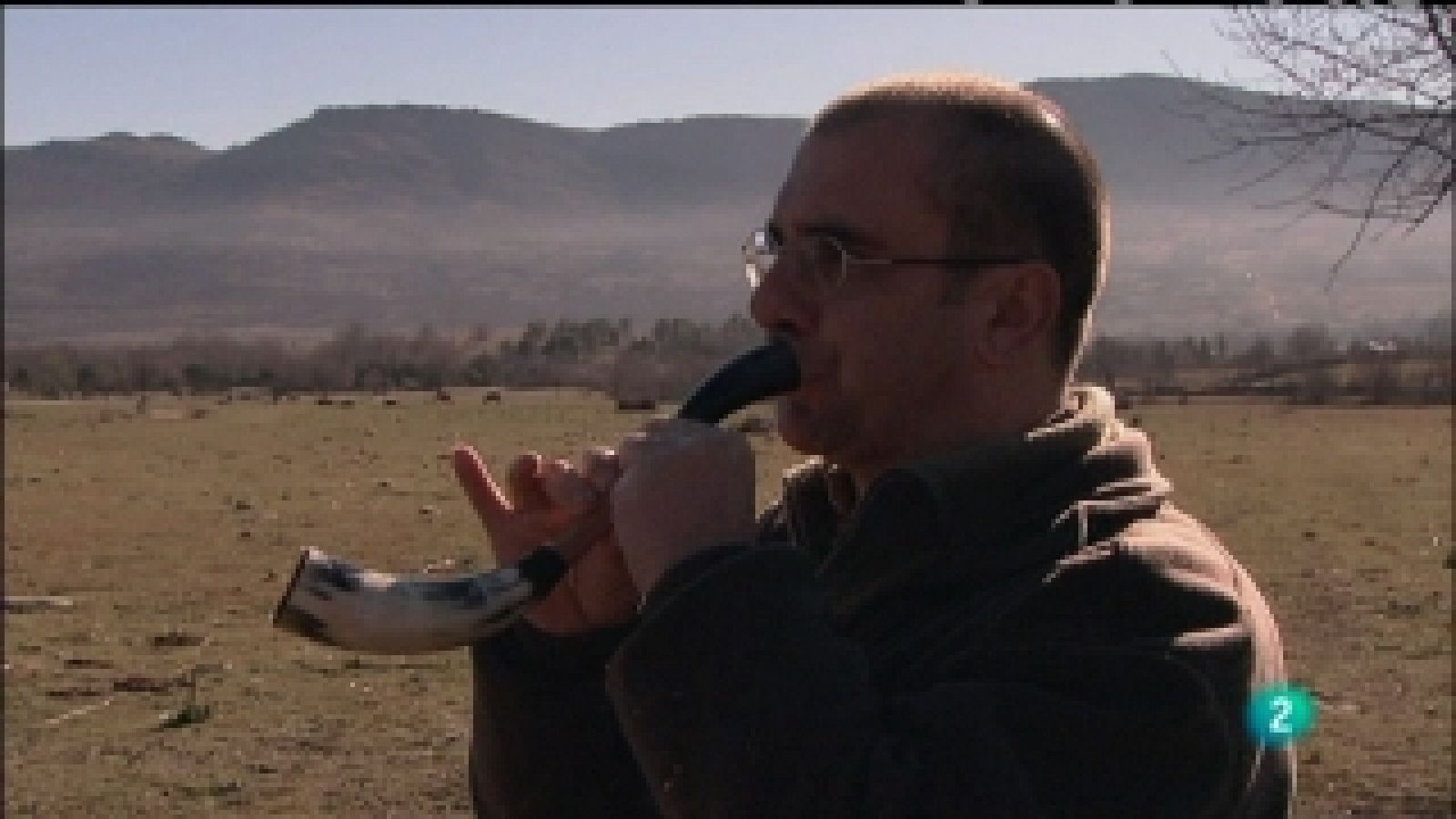 Biodiario - 13/03/11 - Biodiario | Ver