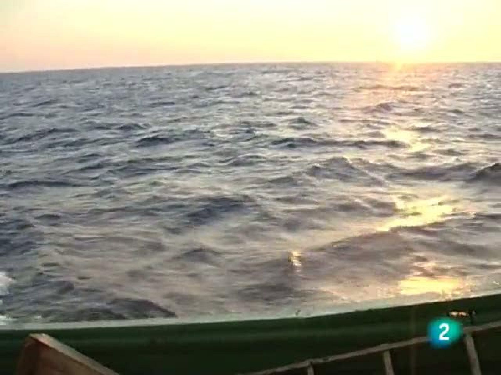 Al natural -  La Selva