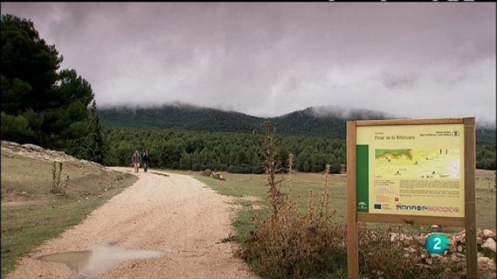 Biodiario - Biodiario - 15/03/11