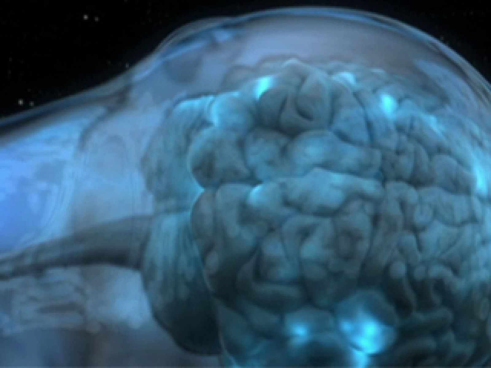 Insomnio letal. Avance - La noche temática | Ver