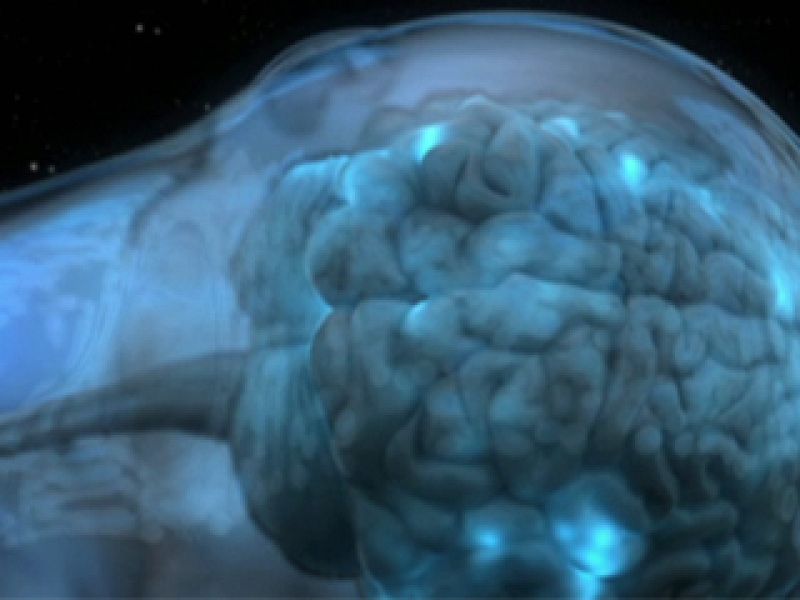 Insomnio letal. Avance - La noche temática | Ver