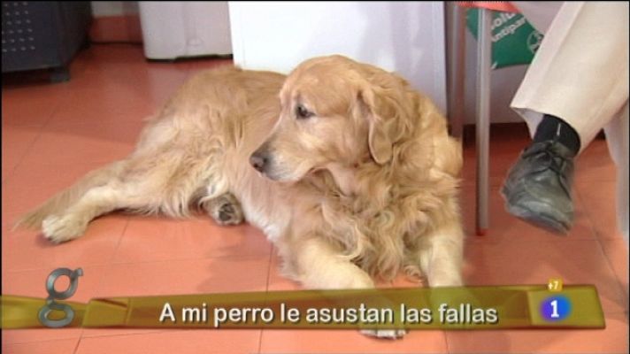 Gente - Gente - 16/03/11