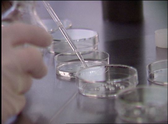 Telediario 1 - Bebé libre de un gen del cáncer