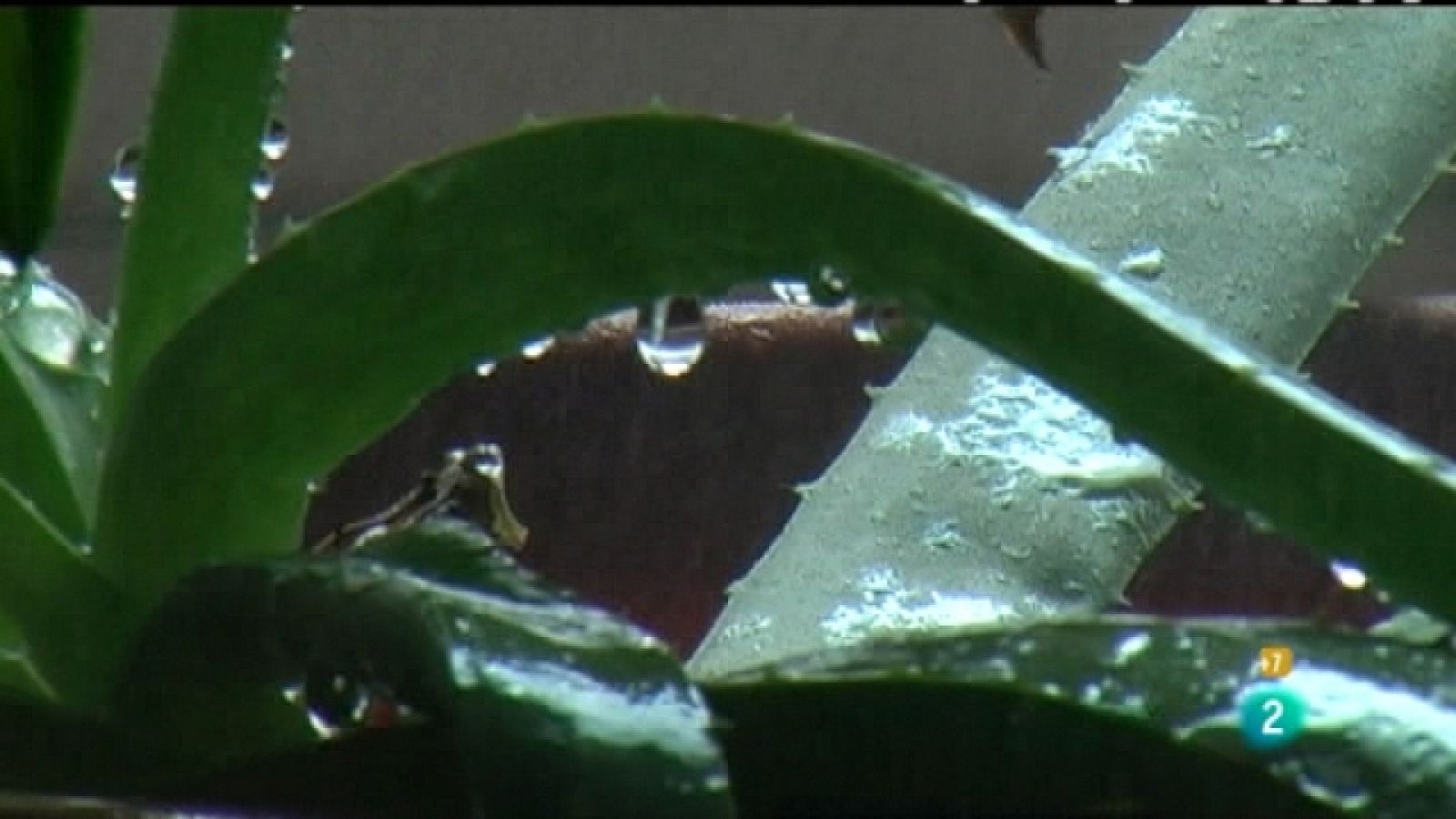 Zzz - 18/03/11 - Zzz | Ver