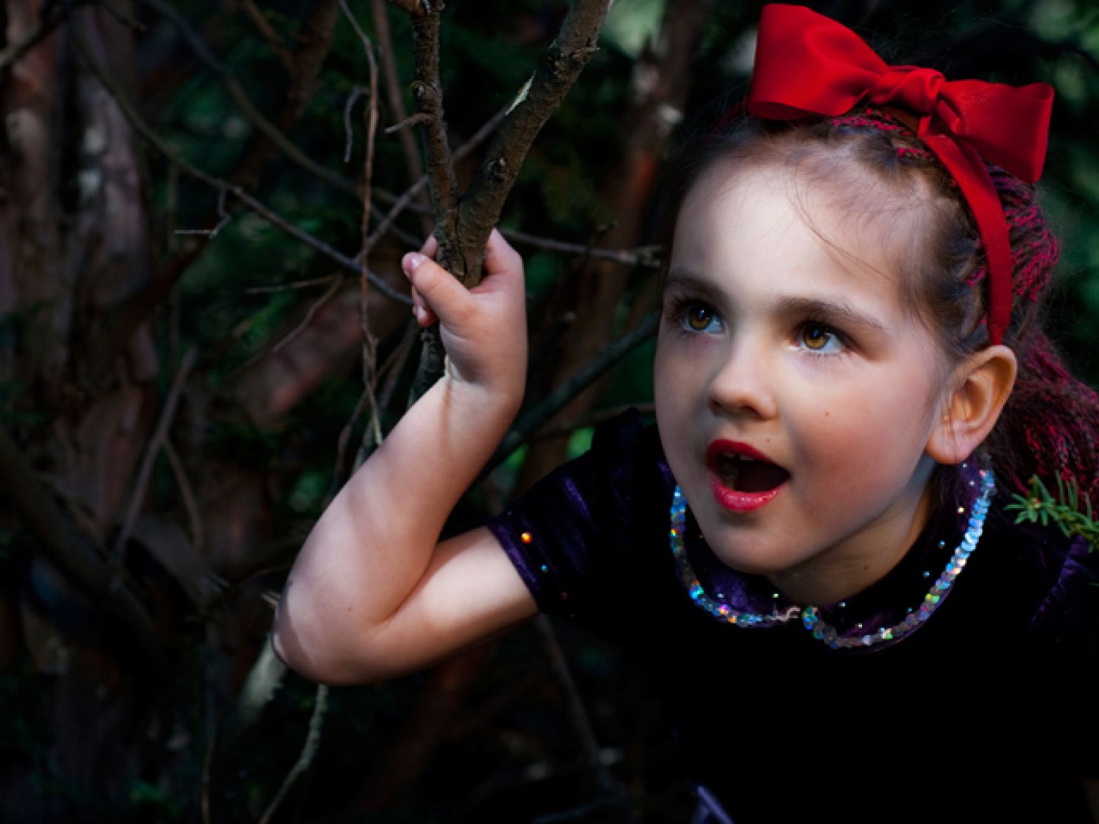 Imprescindibles - Avance de 'La memoria de los cuentos' - Imprescindibles | Ver