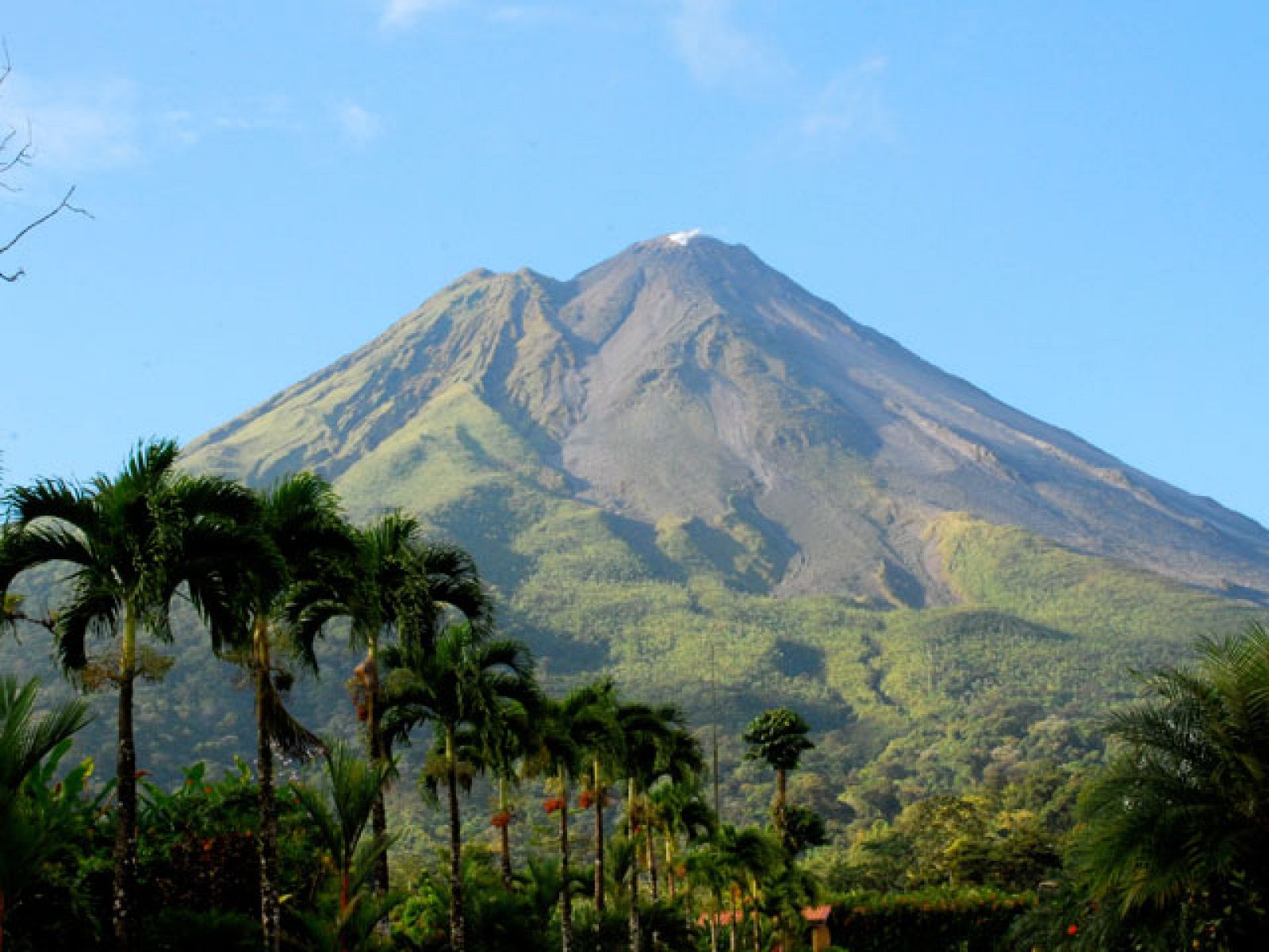 Españoles en el mundo - Avance de Costa Rica