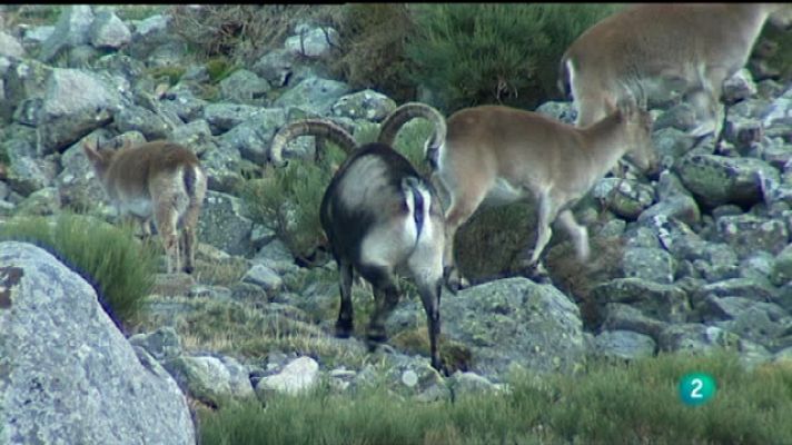 Jara y sedal - Cumplimos 20 años