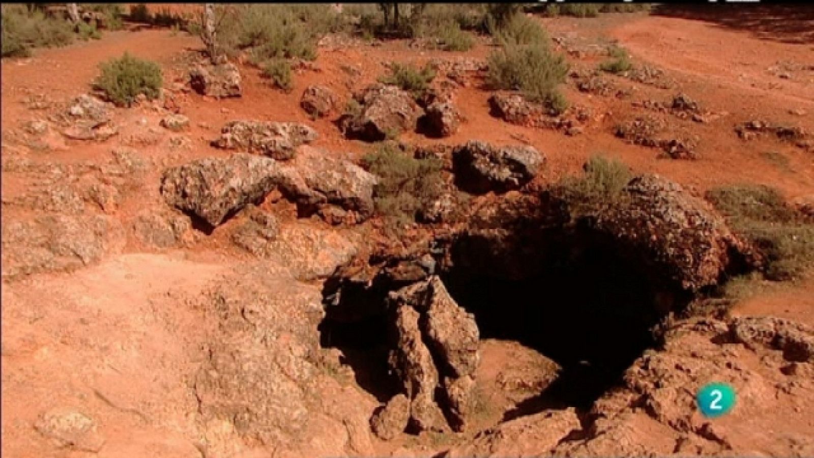 Biodiario - 18/03/11 - Biodiario | Ver