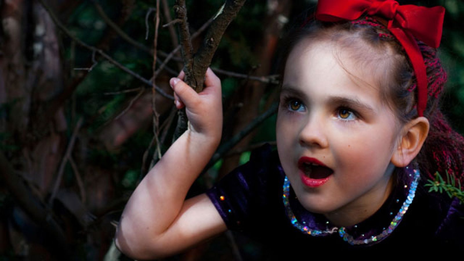 Imprescindibles - Los cuentacuentos | Ver