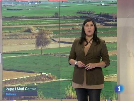 L'Informatiu - El temps - 21/03/11