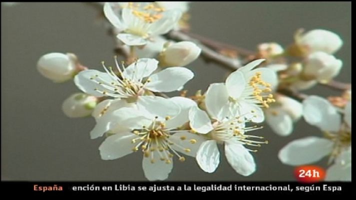 España en 24h - España en 24 horas - 21/03/11