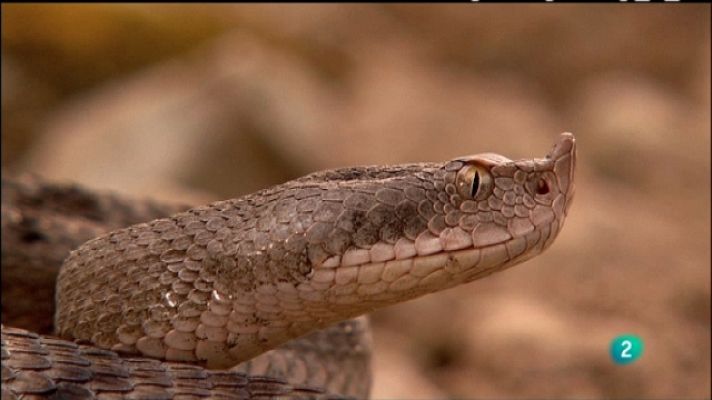 Biodiario - Biodiario - 21/03/11