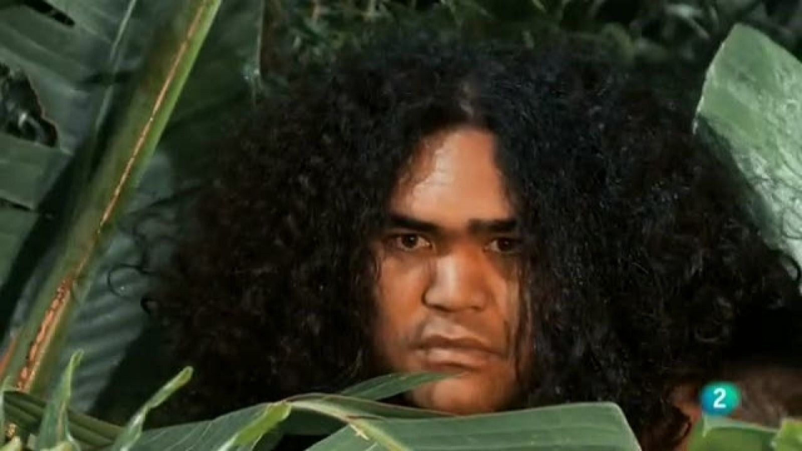 La aventura del saber - 22/03/11 - La aventura del Saber | Ver