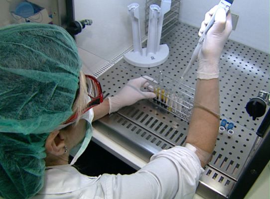 Telediario 1 - Regeneración tisular