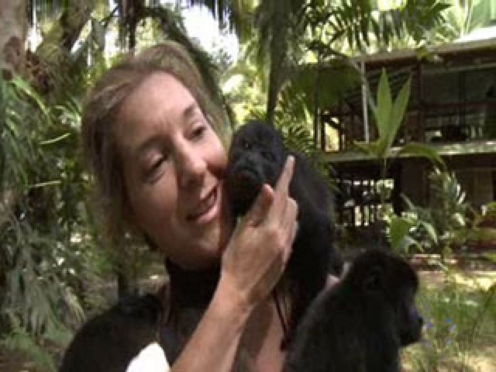 Españoles en el mundo - Costa Rica - Encar