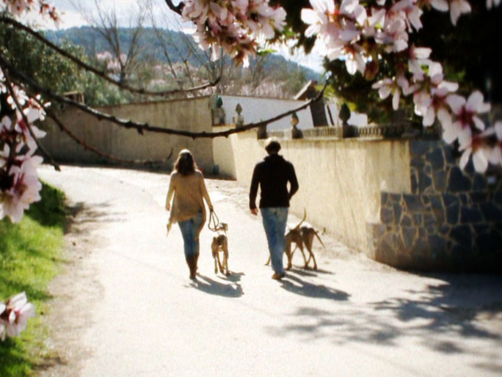 Destino España - Valencia IV - Nina y Roger