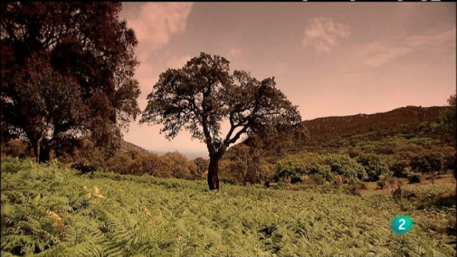 Biodiario - 23/03/11 - Biodiario | Ver