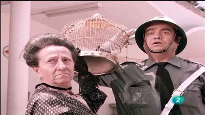 Singular.es - Los pajaritos