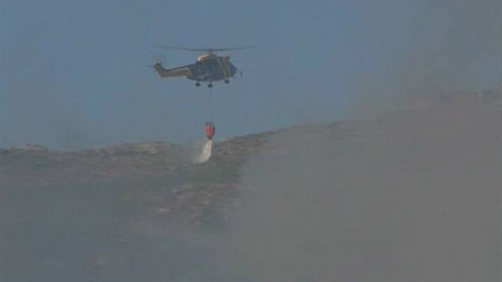 Telediario 1 - Balance anual del Seprona