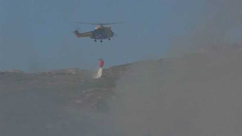 La Guardia Civil detuvo el año pasado a 457 personas por delitos contra el medio ambiente