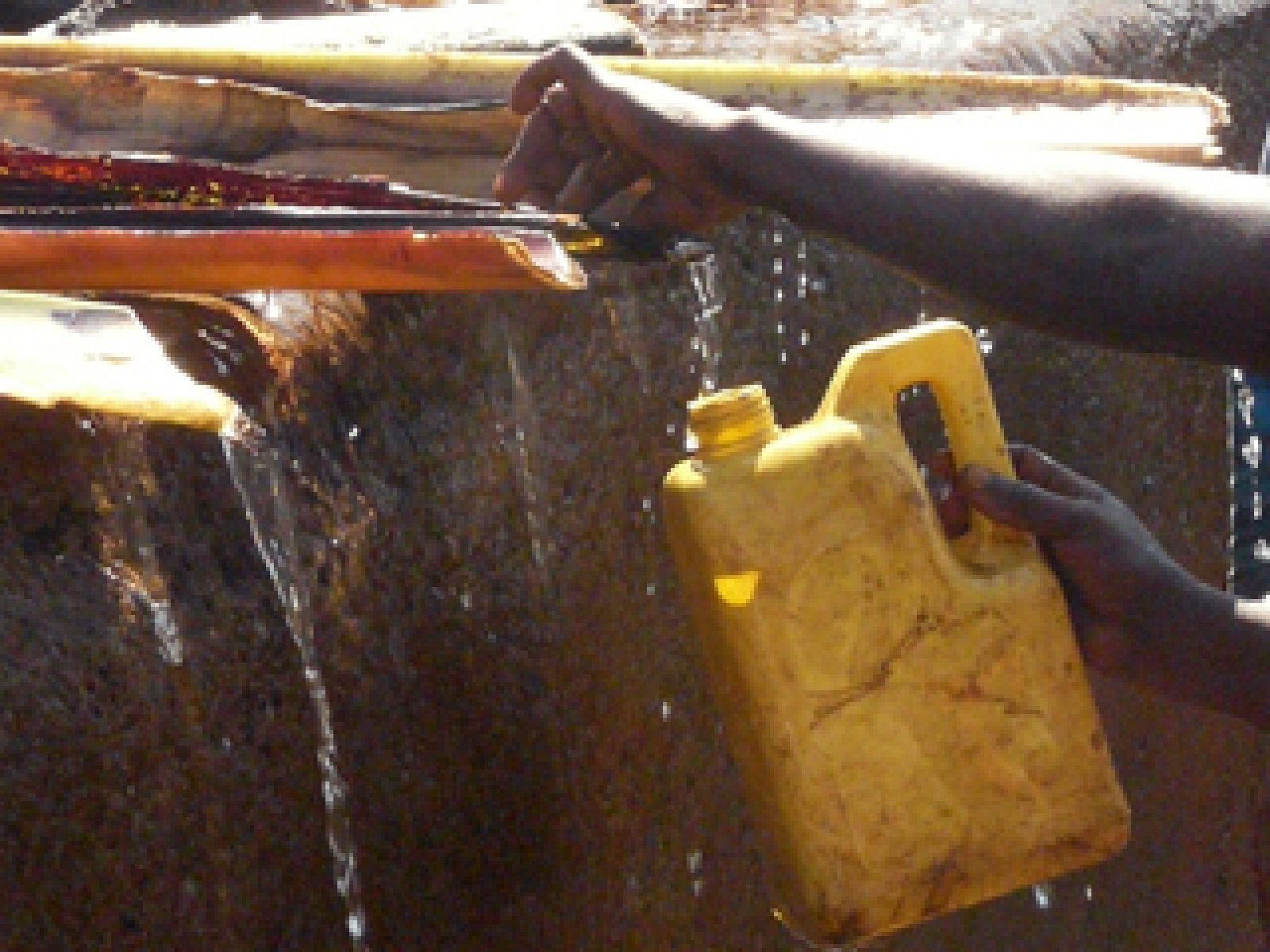 En Portada. El safari del agua. Avance - En portada | Ver