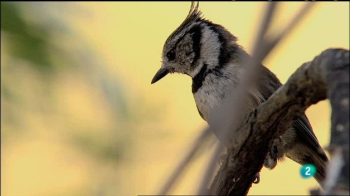 Biodiario - Biodiario - 28/03/11