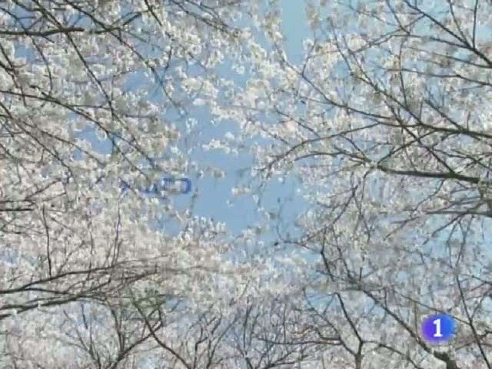 El tiempo en Castilla y León - 29/03/11