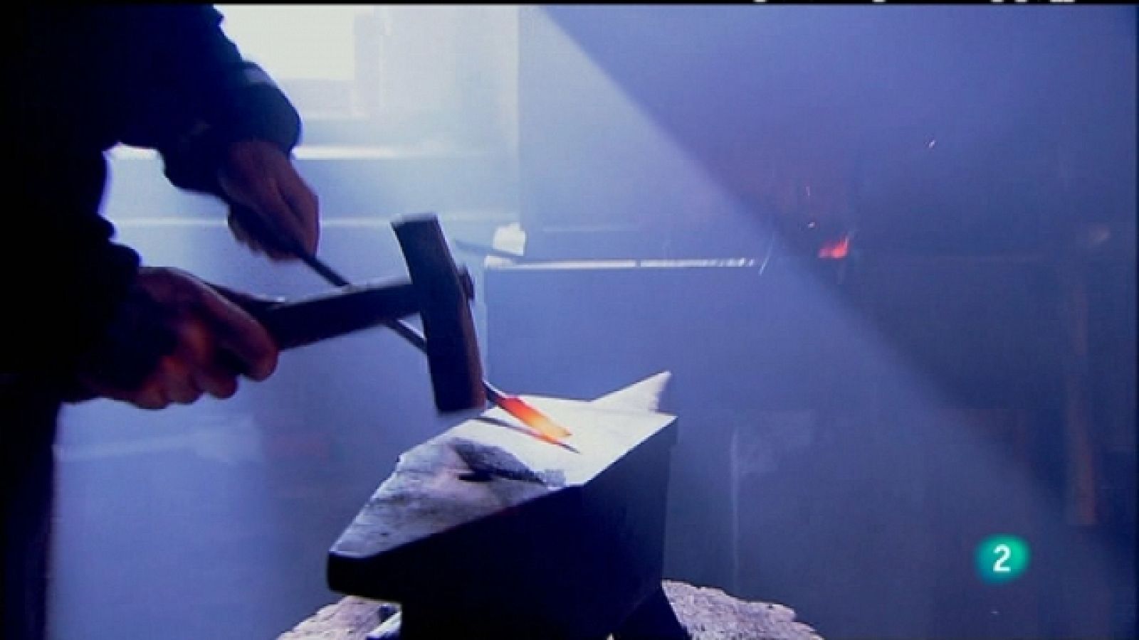 Biodiario - 29/03/11 - Biodiario | Ver