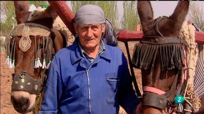 Biodiario - Biodiario - 30/03/11