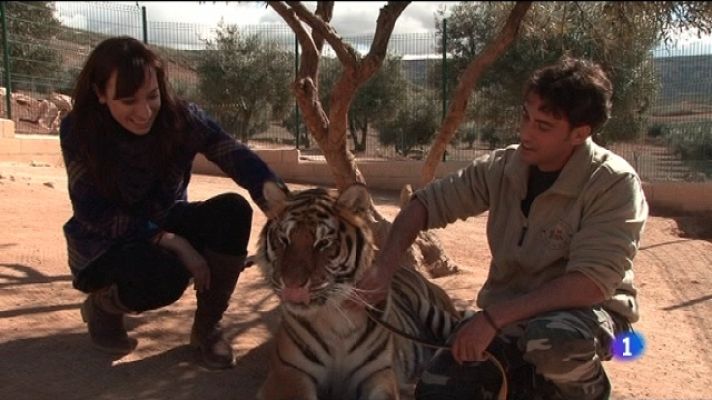 En familia - Más que mascotas