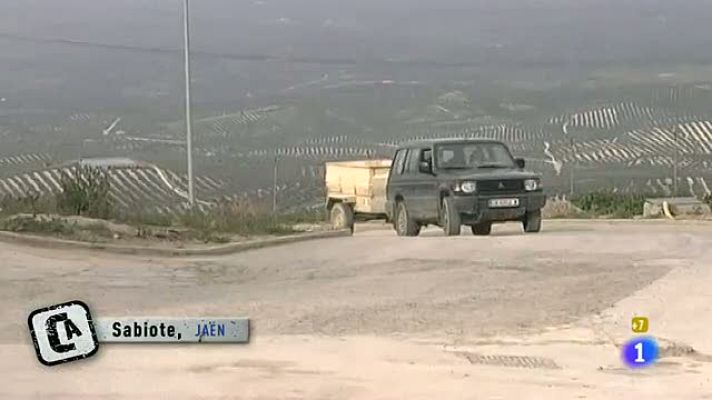 Comando Actualidad - Nos pasan factura - Aceitunas