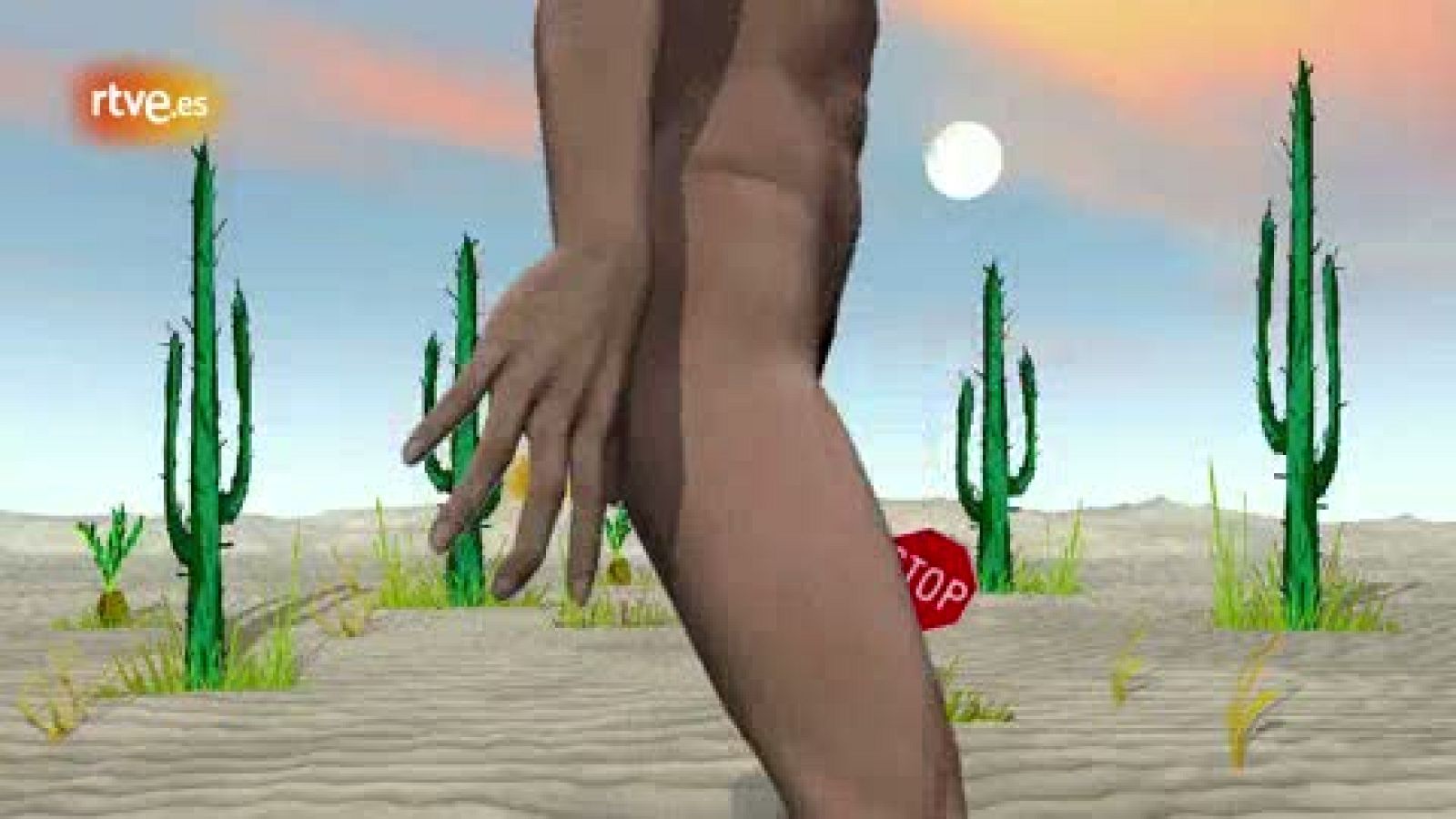 Albert Pla - Hongos | Ver