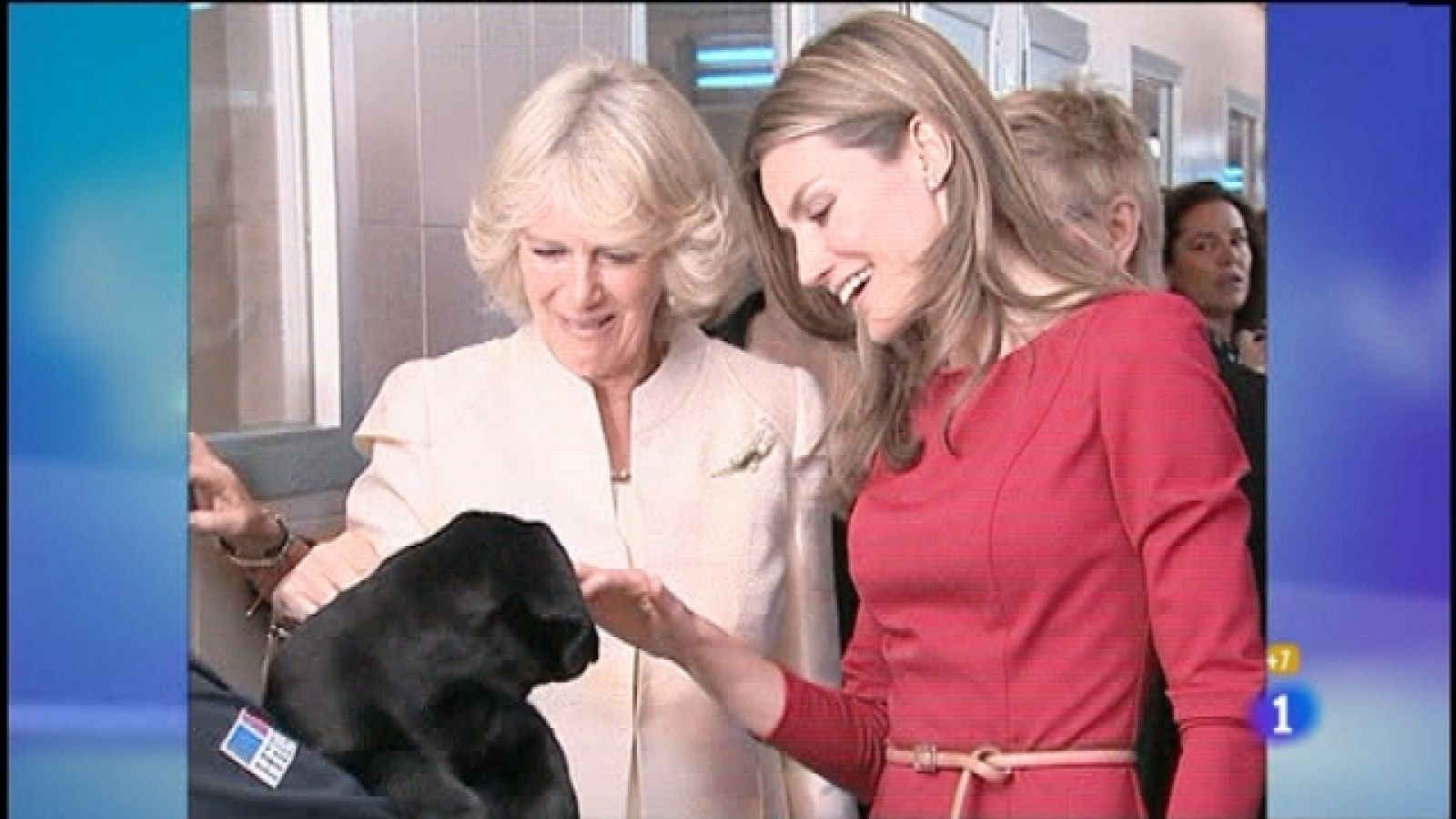 Gente - 31/03/11 - Gente | Ver