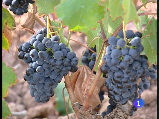 Informativo Telerioja - Telerioja en 2' - 01/04/11