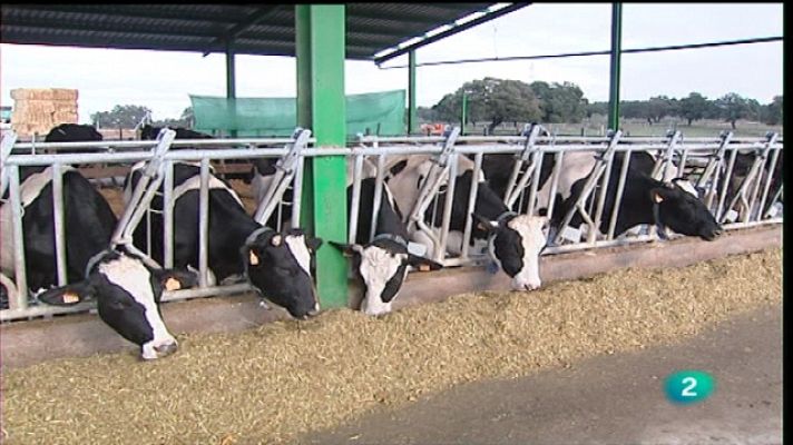 Agrosfera - Agrosfera - 02/04/11